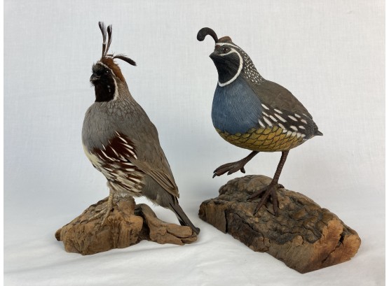 Quail Statues- 1 Taxidermy & 1 Painted Resin