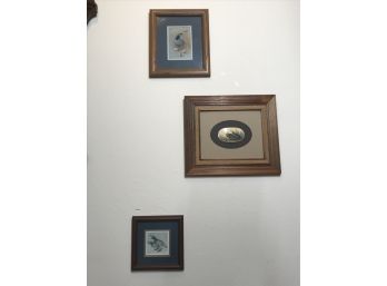 Trio Of Framed Quail Prints