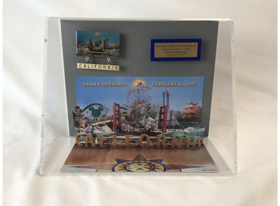 Rare Deluxe Limited Addition Commemorative Ticket To Disneys California Adventure Park From 2/8/01