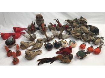 Big Nice Collection Of Assorted Lifelike Decorative Birds (Very Unique, See Photos)