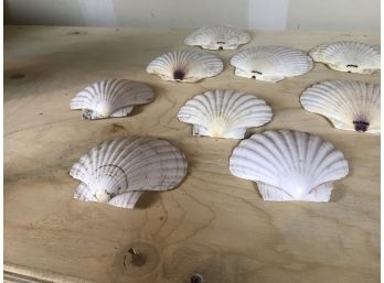 Vintage Seashell Scalloped Clam Appetizer Dishes