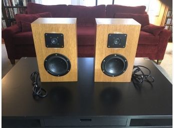 Powered Monitor Speakers Believed Built By Estate Owner, Unknown, But Most Made Of Likely Hi End Components