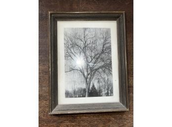 Inspiring Framed Tree Sketch Art