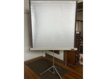 Nice Vintage Radiant Brand Portable Projector Screen