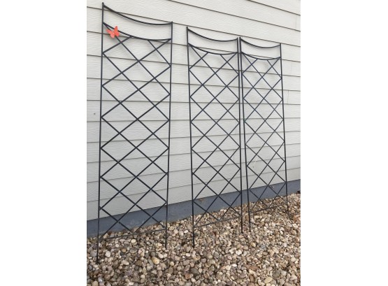 Three, 7 Foot Tall Metal Trellises, One With A Cute Butterfly