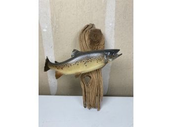 Nice Taxidermy Mounted Trout (see Photos For Size And Condition)