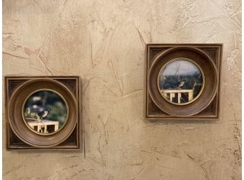 Two Small Photographs Of Birds In Circular Frames
