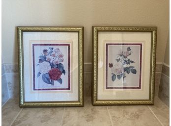 Two Large Matted And Gold Framed Vintage Illustrations Of Roses