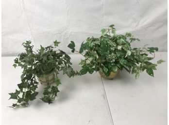 Two Fake Ivy Plants With Pots