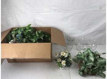 Lot Of Various Office Plants And Nice Glass Vases