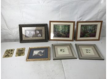 Beautiful Collection Of Framed Wall Art