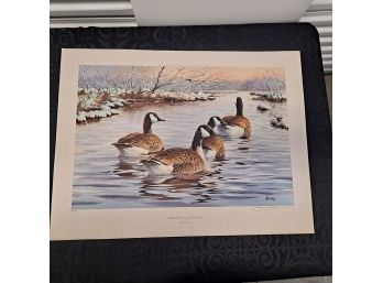 Signed And Numbered Duck Poster