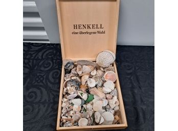 Box Of Assorted Shells