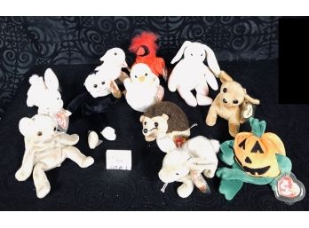 TY 1999 Beanie Babies Collection Lot 1 (Tag Protectors)