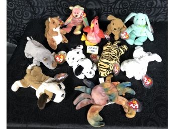 TY 1996 Beanie Babies Collection Lot 1