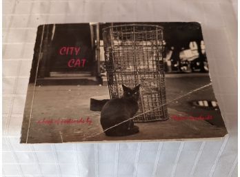 City Cat Postcard Book