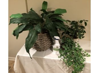 Artificial Potted Plants & NEW! Cleaner