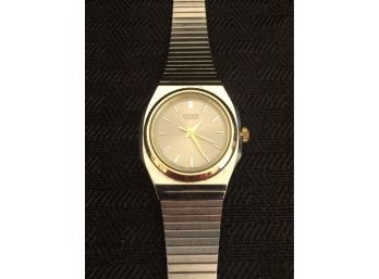 Ladies Stainless Steel Citizens Watch