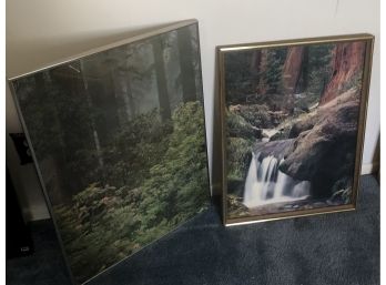 Natural Setting Framed Photography