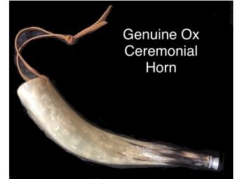 Genuine Ox Ceremonial Horn
