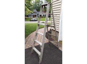 Aluminum Painters Ladder