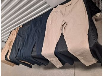 Women's Size 12, 14, & 16 Size Pants Lot #5