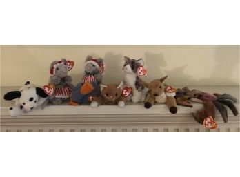 TY Beanie Baby Collection