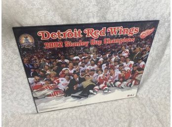 Detroit Red Wings 2002 Stanley Cup Champions