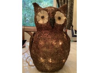 Halloween Lighted Owl