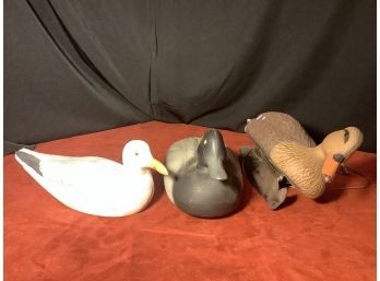Duck Decoys And Seagull