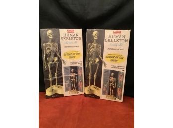2 Vintage Renwal Human Skeleton Kits