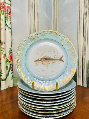 Set Of 11 Porcelain Fish Plates