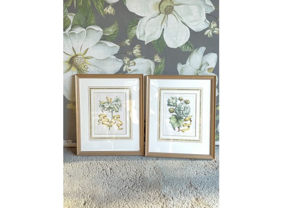 Pair Of Framed Yellow And Green Hand Colored Engravings