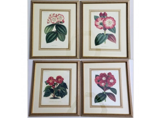 4 Vintage Double Matted Botanical Prints