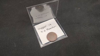 Type 2 Error Coin - Blank Copper Penny