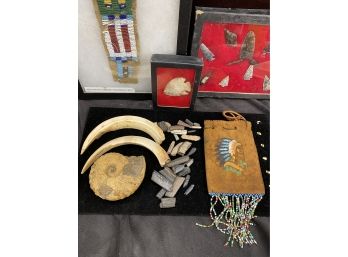 Native American Beading, Fossils, Arrowheads