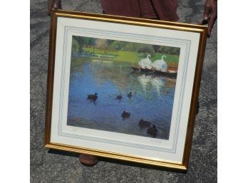'Ducks In The Boston Public Garden', Thomas R. Dunlay, In A Nice Frame
