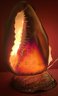 Stunning Vintage Veracruz Conch Shell Lamp - Working Condition