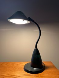 Gooseneck Desk Top Lamp