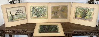 5- Tree Colored Art: Newlands Corner, Trees With Stream, 2-large Tree, Tree In Valley