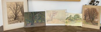 4-tree Sketches Color/pencil And Wellaston Beach: Krommer