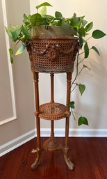 Cane And Wood Floor Standing Plant Stand With Plant