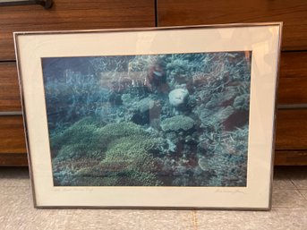 Photography The Great Barrier Reef Signed AnnMarie Leone