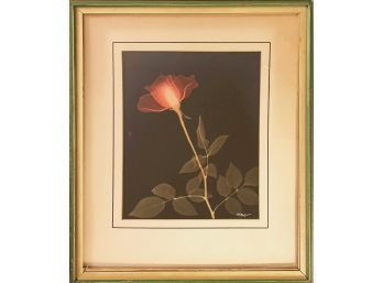 Flor De Ray Prints, By Sister Mary Alice S. C.