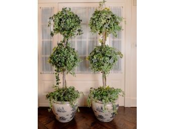 Two Large Ivy Topiaries In Chinese Ceramic Planters