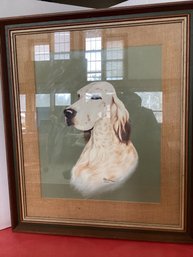 P J Detmold Oil On Paper Setter Dog Framed