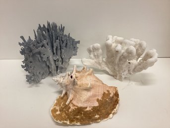 Pair Decorative Coral With Conch Shell