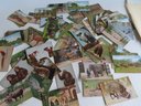 Walter Addison, New York, 1914-1982. Grouping Of 88 Post Cards From The New York Zoological Park, Later The Br