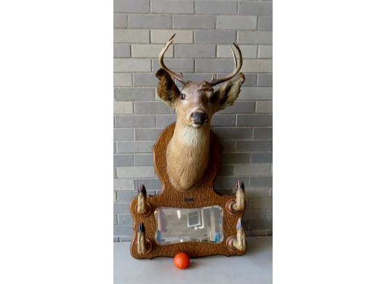 A White Tail Deer Mount On Oak Panel Above Mirror