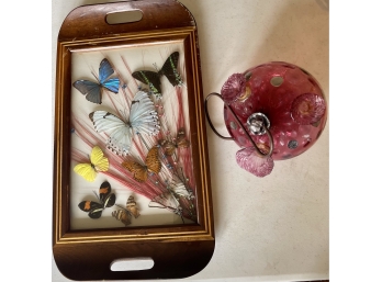 Vintage Real Butterfly Glass & Wood Tray With Art Glass Hummingbird Feeder